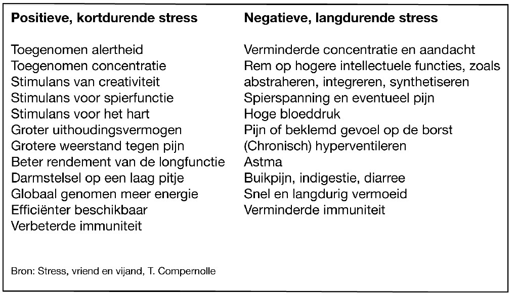 Mogelijke effecten van positieve en negatieve stress